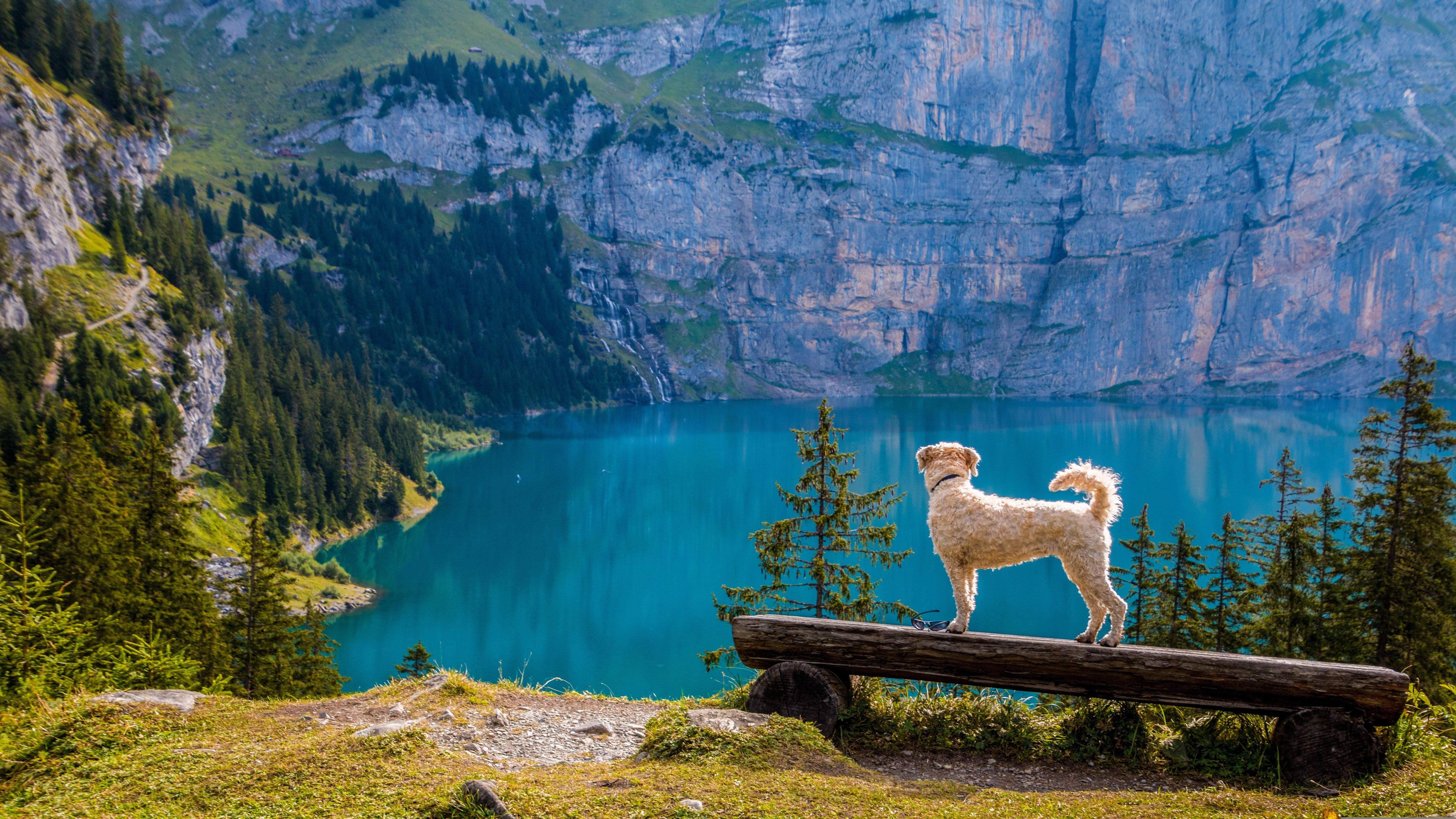 Die schönsten Wandererlebnisse entstehen dort, wo Mensch und Hund gemeinsam die Berge entdecken