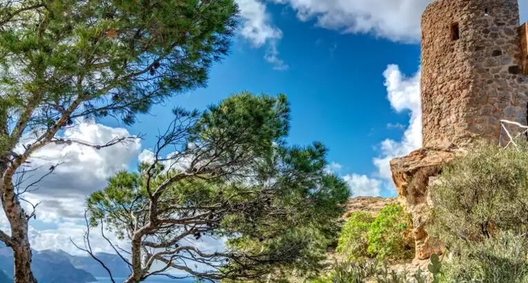 Die 5 schönsten Wanderungen auf Mallorca - Alpenstieg Blog Beitrag