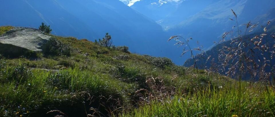 Berliner Höhenweg – Hochalpine Runde durch die Zillertaler Alpen - Alpenstieg Blog Beitrag