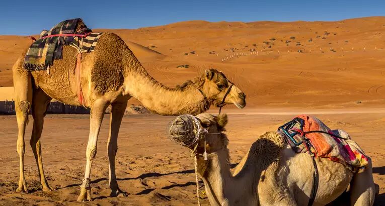 Oman - Alpenstieg