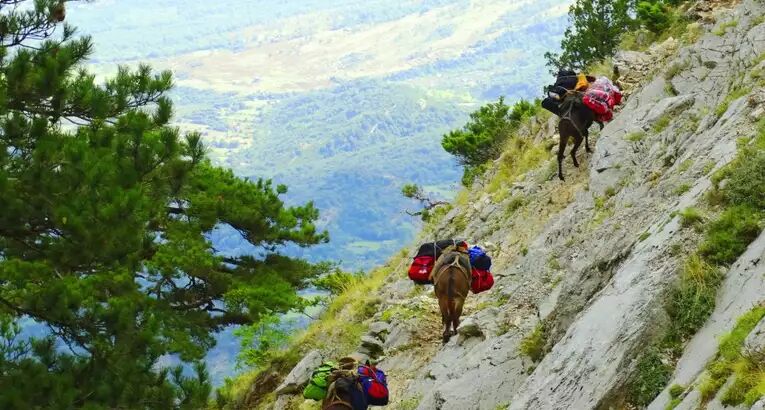 Albanische Alpen: Die schönsten Wanderungen im letzten großen Naturparadies Europas - Alpenstieg Blog Beitrag