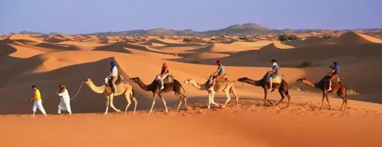 Kameltrekking durch die Sahara