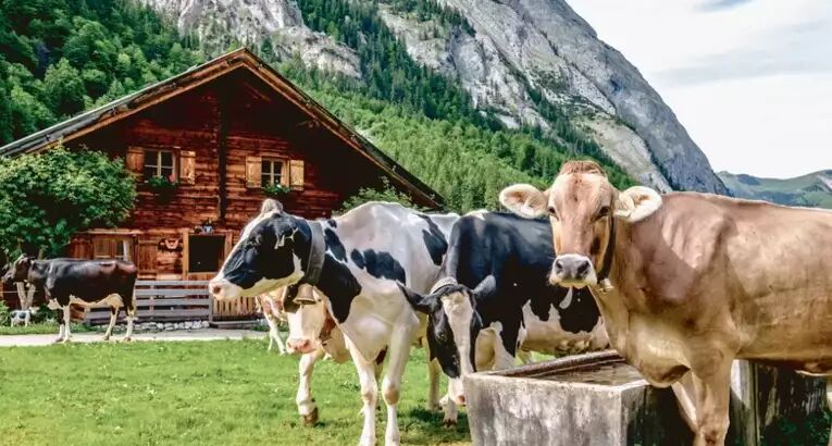 Alpenüberquerung für Anfänger – die richtige Tour finden - Alpenstieg Blog Beitrag