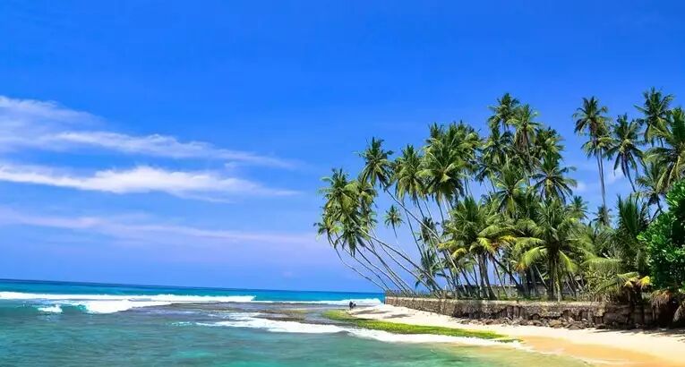 Palmenstrand und Meer an Sri Lankas Küste