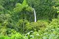 Costa Rica - Entdeckungsreise zu unberührten Nationalparks und lebendiger Kultur - Bild 9