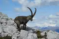 Wild Trails - die etwas andere Dolomitendurchquerung - Bild 14