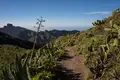 Teneriffa gemütlich erwandern - Bild 5