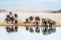 Südafrika, Namibia, Botswana, Simbabwe - Entdeckungsreise durch das südliche Afrika - Bild 7