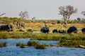 Namibia & Botswana - Tiervielfalt zwischen Wüstenbergen und Flussoasen - Bild 5