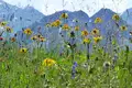 Bergwanderwoche rund um Oberstdorf im Allgäu - Bild 1