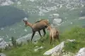 Allgäu Durchquerung - Bild 17