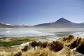 Chile - Das Land der Kontraste von Nord nach Süd - Bild 3