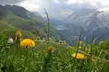 Individuelle Wanderwoche entlang des Dolomitenhöhenwegs Nr. 1 - Bild 9