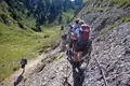 Wandern im Naturpark Nagelfluhkette - Bild 5