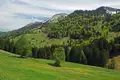 Wandern im Naturpark Nagelfluhkette - Bild 10
