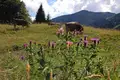 Allgäu Durchquerung - Bild 9