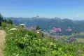 Allgäu Durchquerung - Bild 10