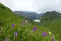 Allgäu Durchquerung - Bild 13