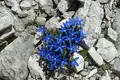 Allgäu Durchquerung - Bild 14