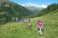 Allgäu Durchquerung - Bild 16