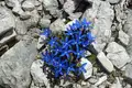 Individuelle Alpenüberquerung vom Tegernsee nach Sterzing  - Bild 13