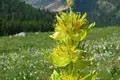 Individuelle Alpenüberquerung vom Tegernsee nach Sterzing  - Bild 16