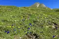 Steinbock-Wanderwoche im Allgäu - Bild 14