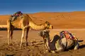 Oman entdecken – Ein verborgenes Juwel der Arabischen Halbinsel - Bild 19