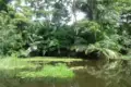 Höhepunkte Costa Ricas in 11 Tagen erleben - Bild 3