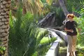 Oman - Ein Duft von 1001 Nacht im 21. Jahrhundert - Bild 24