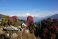 Nepal – Annapurna Panorama Lodge-Trek - Bild 7