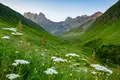 Georgien für Einsteiger: Naturwunder und Kulturschätze im Herzen des Kaukasus - Bild 24