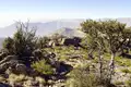 Oman - Anspruchsvolles Trekking im Sultanat - Bild 11
