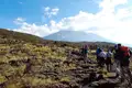 Kilimanjaro: Lemosho-Route (Northern Circuit)  - Bild 15