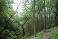 Schottland - West Highland Way - 8 Tage - Bild 6