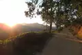 Magisches Sri Lanka - Eine Reise durch Geschichte, Natur und Kultur - Bild 17