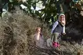 Marokkos wilder Norden – Wandern im Rif-Gebirge - Bild 7