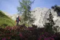 Alpenüberquerung individuell von Garmisch nach Bozen - Bild 2