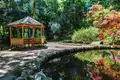 Georgien für Einsteiger: Naturwunder und Kulturschätze im Herzen des Kaukasus - Bild 12