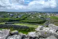 Irlands wilde Schönheit - Connemara & Burren - Bild 13