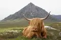 Schottland - West Highland Way - 8 Tage - Bild 1