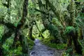 Chiles Highlights erwandern - Bild 5