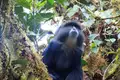 Kilimanjaro: Marangu-Route - Bild 10