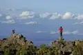 Kilimanjaro: Lemosho-Route (Northern Circuit)  - Bild 13