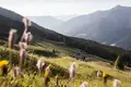 Alpenüberquerung individuell von Garmisch nach Bozen - Bild 4