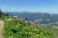 Bergwanderwoche rund um Oberstdorf im Allgäu - Bild 7