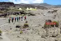 Kilimanjaro Lemosho-Route (Northern Circuit) - individuell - Bild 9
