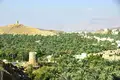 Oman - Ein Duft von 1001 Nacht im 21. Jahrhundert - Bild 6