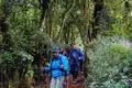 Kilimanjaro: Marangu-Route - Bild 13