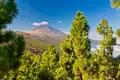 Teneriffa gemütlich erwandern - Bild 2